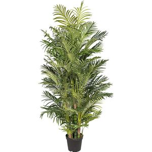 Areca-palm, real touch, in een kunststof pot, hoogte 2200 mm