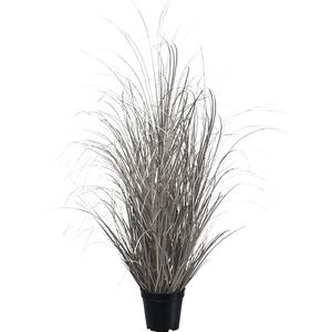 Gras in pot, totale hoogte 930 mm, champagne