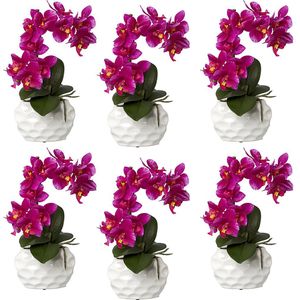 Phalaenopsis, real touch, hoogte 330 mm, VE = 6 stuks, keramische pot, lila