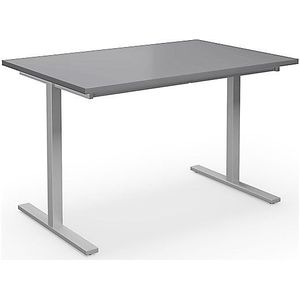 Multifunctionele tafel DUO-T, recht blad, b x d = 1200 x 800 mm, lichtgrijs, zilverkleurig