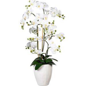 Orchidee Phalaenopsis, real touch, in keramische vaas, hoogte ca. 1100 mm, wit