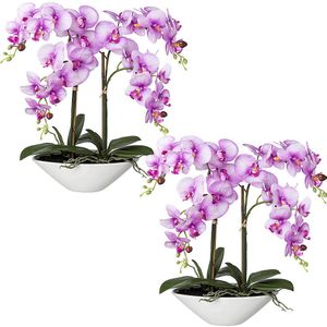Phalaenopsis, real touch, hoogte 530 mm, VE = 2 stuks, keramische schaal, orchidee