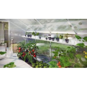 Hängebord für Gewächshaus Orchidee