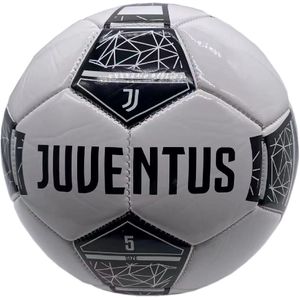 Juventus Pro 2023 Bal Size 5