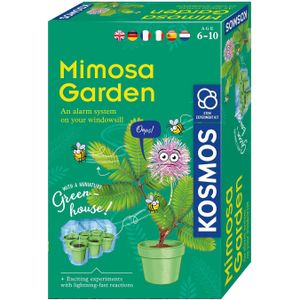 Kosmos Mimosa Planten Kweken