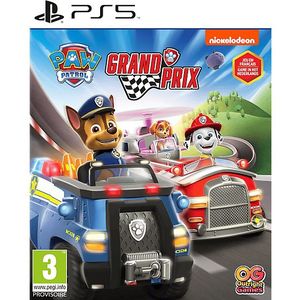 Paw Patrol Grand Prix Nl/fr PS5