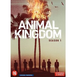 Animal Kingdom: Seizoen 1 - Dvd