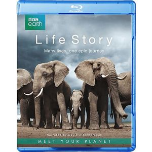 Bbc Earth: Life Sory - Blu-ray
