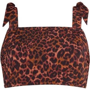 jungle diva bikini top zonder beugel | unwired brown and dark orange /C