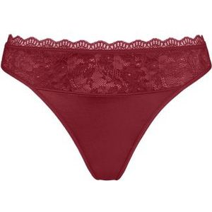 carita 4 cm string |  cabernet red and lace