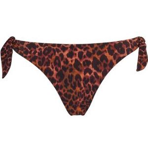 jungle diva butterfly bikini tanga |  brown and dark orange