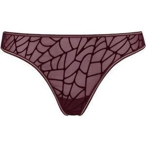 the adventuress butterfly string |  burgundy