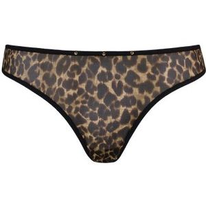 vixen 5 cm slip |  leopard print