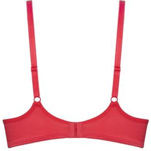 dame de paris push up bh | wired padded pomegranate and gold