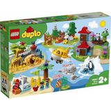 LEGO DUPLO Dieren van de Wereld - 10907