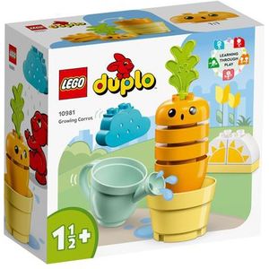 10981 LEGO DUPLO Mijn eerste Groeiende wortel