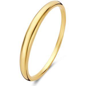 Isabel Bernard Rivoli Maryn 14 karaat gouden ring voor dames