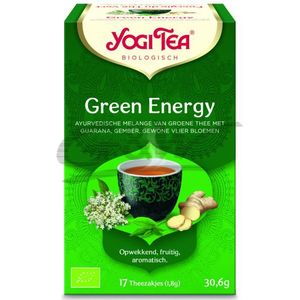 Yogi Thee Green Energy