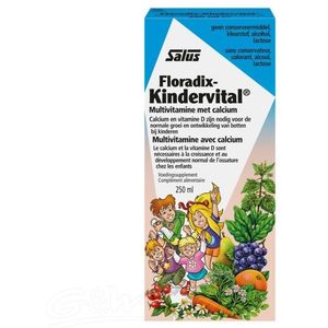 Salus Floradix Kindervital