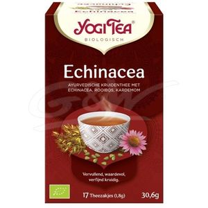 Yogi Thee Echinacea