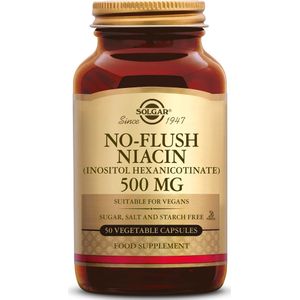 No-Flush Niacin 500 mg