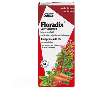 Salus Floradix Ijzer Tabletten