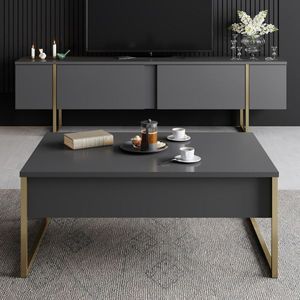 Salontafel Woody Fashion | 90 x 60 x 40 cm | Anthracite Gold