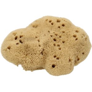 Cose della Natura Zijden Spons - Medium, 8-10 g