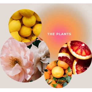 GIVING LOVE TO Douchegel "Zielsdouche Plantenwereld" - The Plants - 200 ml