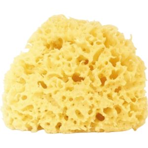 Cose della Natura Gebleekte Honingraat Zeespons - 12-14 gr