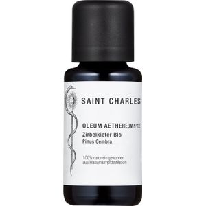 SAINT CHARLES Geurmix Alpine Steenden - 20 ml