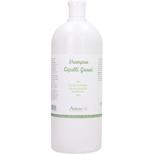 Antos Shampoo for Oily Hair - 1 l