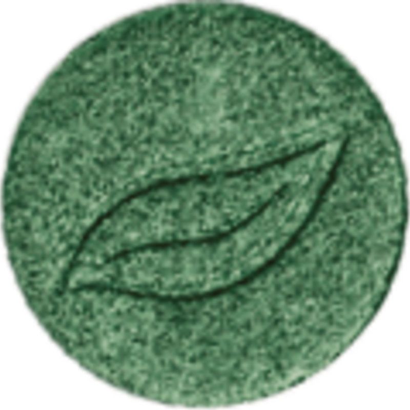 puroBIO - Compact Eye Shadow REFILL - Groen - Glinsterend