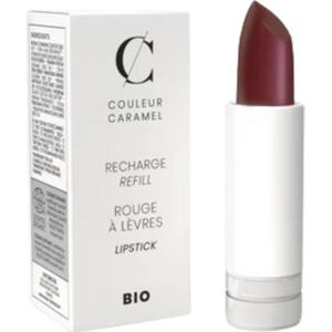 Couleur Caramel Refill lippenstift - n°240 Stolen Kiss