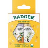 Badger Balm - Classic Lipstick Set - Goud - 1 Set