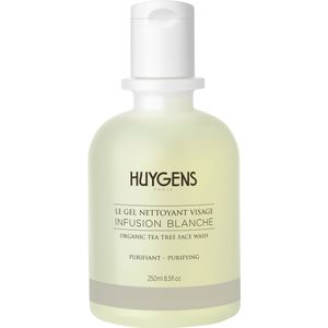 HUYGENS Paris Purifying Face Wash - 250 ml