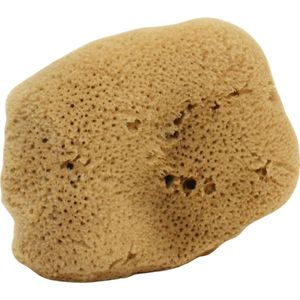 Cose della Natura - Zijden Spons - Bruin - Groot - 12-14 g