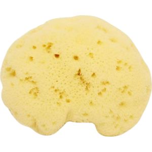 Cose della Natura Gebleekte Fijne Zijden Spons - 6-8 g