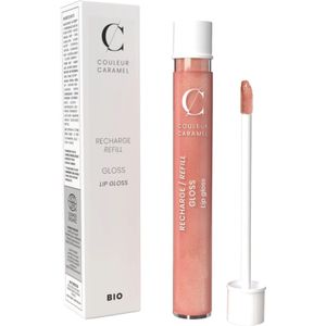Couleur Caramel Refill Lip Gloss - n°814 Frosted Chestnuts