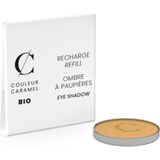 Couleur Caramel - Refill Oogschaduw - 109 Golden Leaf