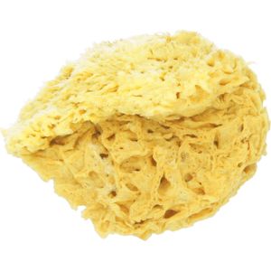 Koutouzis Natural Sea Sponges Natuurlijke Honingraatspons - L