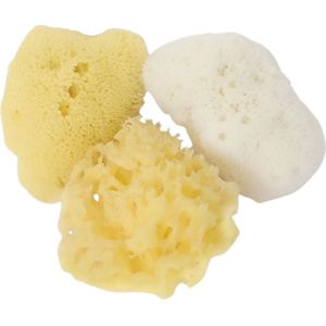 Cose della Natura Mini Beauty Trio - 1 Set