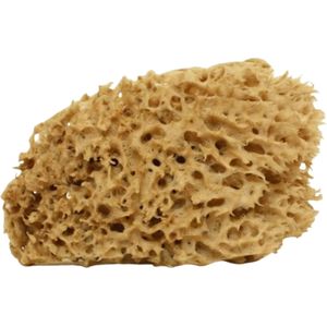 Cose della Natura Gewassen Honingraat Zeespons - Klein, 5-6 g