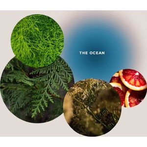 GIVING LOVE TO Douchegel "Verfrissende Zeedouche" - The Ocean - 200 ml