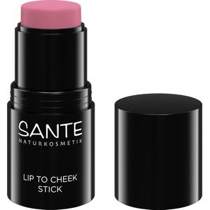 SANTE - Lip to Cheek Stick - 01 Rose Blush - Lippenstift