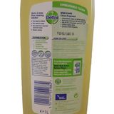 Dettol Allesreiniger Complete Clean Perfecte Hygiëne  Zomergeur 1 Liter Kant en Klaar