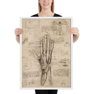 'Da Vinci - Anatomy of the hand' poster - Wit , 50×70 cm