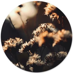 Muurcirkel foto 'Spring is Upon us' - Ø 20 cm , Forex