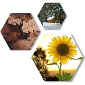 Hexagon foto op dibond - Multiplex , 30cm , Zelfklevende Tesa powerstrips
