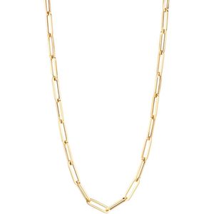 Blush - 3130YGO - Ketting - Goud - 14 Karaat Goud